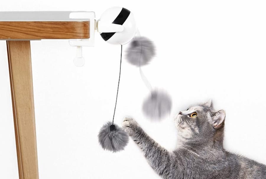 Yo-Yo Lifting Cat Toy